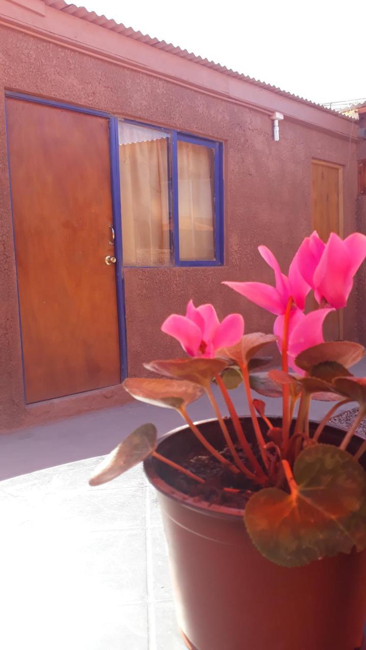 Hostal Open House San Pedro De Atacama Esterno foto